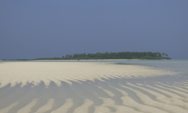 Bangaram Island - Idyllic Escape in Lakshadweep with TravelFly
