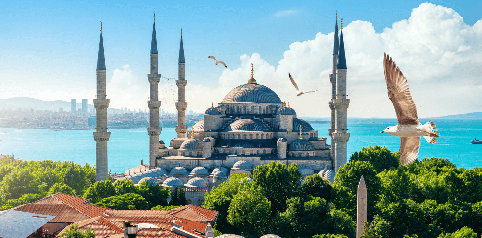 Captivating Istanbul Skyline - TravelFly 5N/6D Package
