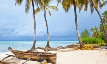 Zanzibar Spice Tour - A Sensory Journey through Spices with TravelFly.