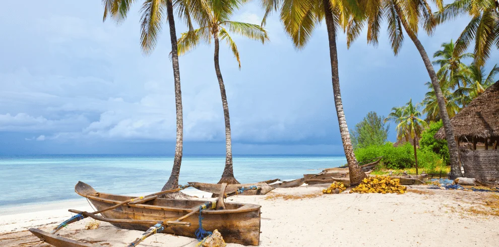 Zanzibar Spice Tour - A Sensory Journey through Spices with TravelFly.